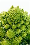 Romanesco