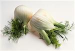 Two fennel bulbs with leaves