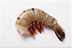 Fresh king prawn without head