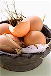 Brown eggs, eggshell & feather in wooden bowl with straw