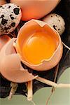 Eggs, egg broken open and quail’s eggs in bowl with straw