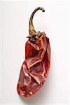 Dried chili pepper