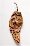 Dried chili pepper