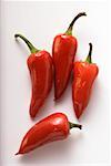 Piments rouges frais