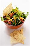 Mexican salad with vegetables, cheese and tortilla chips