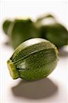 Round mini-courgette (Rondini)