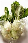 Several baby pak choi in plastic bag