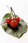 Trois cerises sur tige sur feuille