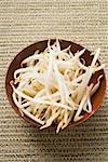 Fresh soya sprouts in bowl