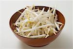 Fresh soya sprouts in bowl