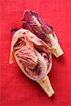 Two different types of radicchio