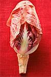 Radicchio on red background