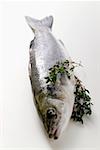 Fresh sea bass with thyme