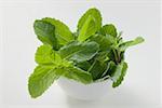 Thai mint in bowl