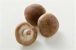 Three shiitake mushrooms