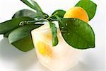 Frozen lemon with leaves