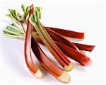 Several sticks of rhubarb