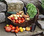 Various types of vegetables in basket with trowel