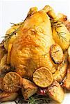 Roast chicken with lemon slices and rosemary