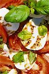 Tomatoes and mozzarella with basil and balsamic dressing
