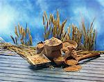 Still life with cereal grains, flour and cereal ears