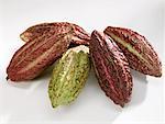 Cacao fruit pods
