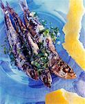 Grilled sardines with herbs and garlic