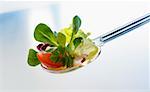Assorted salad leaves and tomato wedge on a salad server
