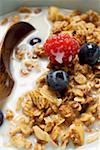 Crunchy muesli with berries and milk