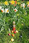 Osterhasen und Eier im Gras mit Narzissen im Hintergrund