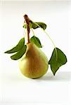 A pear with leaves