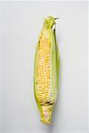 Corn cob with husks