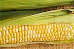 Two corn cobs with husks