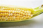 The tip of a corn cob with husks and silk