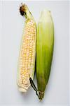 Two corn cobs with husks and silk