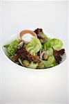 Feuilles de salade mélangée avec le concombre, les olives et les oignons