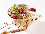 Muesli yaourt et fruits frais