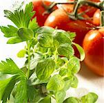 Oregano, parsley and tomatoes