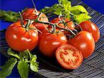 Tomaten, Sorte 'Voyager'