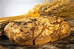 Mixed wheat and rye bread with cereal ears in background