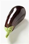 An aubergine