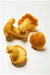 Four chanterelles