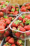 Fraises fraîches en barquettes en plastique à un marché