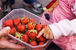 Child's hand reaching for strawberries in a plastic punnet