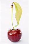 Cherry with stalk, leaf and drops of water