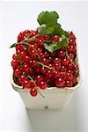 Redcurrants with twig in cardboard punnet