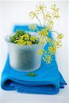 Dill and dill flowers in bowl on blue cloth