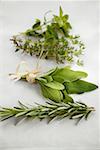 Fresh rosemary, sage, thyme and oregano