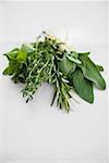 Bunch of herbs: rosemary, sage, thyme and oregano