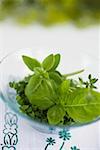 Assorted herbs in glass bowl